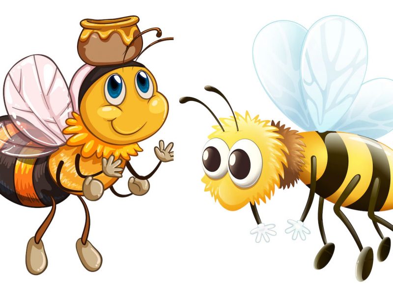 Żlobek-nr-9-w-Białymstoku-grupa-Pszczółki